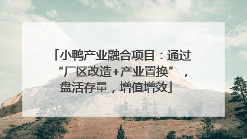 小鸭产业融合项目：通过“厂区改造+产业置换”，盘活存量，增值增效
