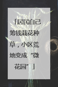 居民自己筹钱栽花种草，小区荒地变成“微花园”