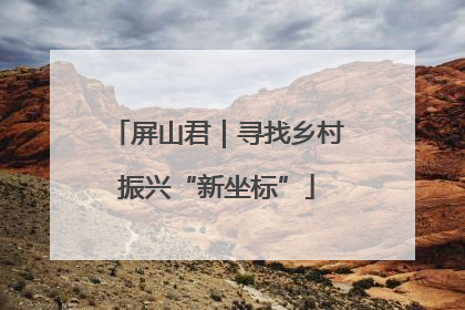 屏山君｜寻找乡村振兴“新坐标”