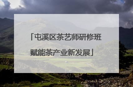 屯溪区茶艺师研修班赋能茶产业新发展