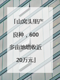 山窝头里产良种，600多亩地增收近20万元