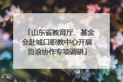 山东省教育厅、基金会赴城口职教中心开展鲁渝协作专项调研