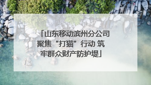 山东移动滨州分公司聚焦“打猫”行动 筑牢群众财产防护堤