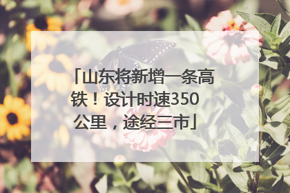 山东将新增一条高铁！设计时速350公里，途经三市