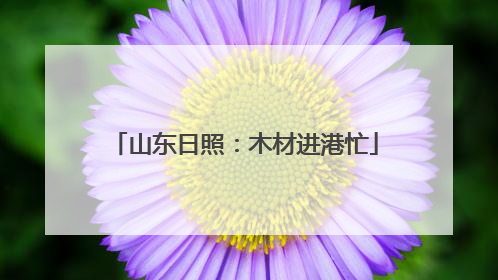 山东日照：木材进港忙