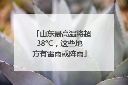 山东最高温将超38°C，这些地方有雷雨或阵雨