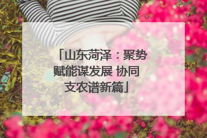 山东菏泽：聚势赋能谋发展 协同支农谱新篇