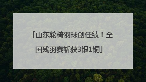 山东轮椅羽球创佳绩！全国残羽赛斩获3银1铜