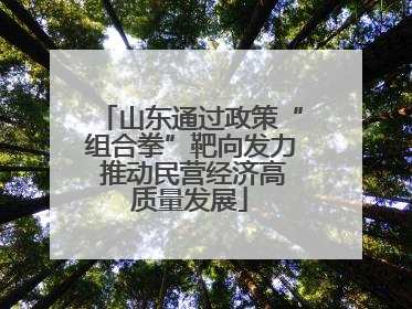 山东通过政策“组合拳”靶向发力 推动民营经济高质量发展