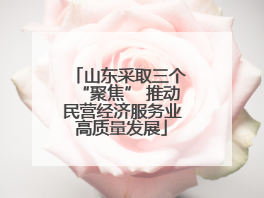 山东采取三个“聚焦” 推动民营经济服务业高质量发展