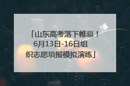 山东高考落下帷幕！6月13日-16日组织志愿填报模拟演练