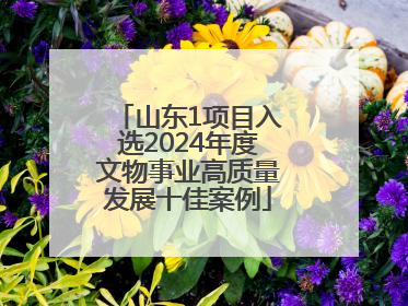 山东1项目入选2024年度文物事业高质量发展十佳案例