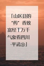 山区县的“药”香致富经丨万千气象看四川·平武③