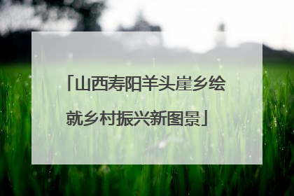 山西寿阳羊头崖乡绘就乡村振兴新图景