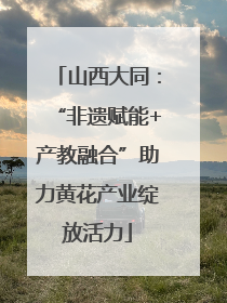 山西大同：“非遗赋能+产教融合”助力黄花产业绽放活力