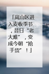 岚山区进入麦收季节，昔日“老大难”，变成今朝“抢手货”！