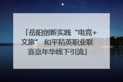 岳阳创新实践“电竞+文旅” 和平精英职业联赛嘉年华线下引流