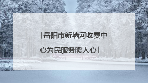 岳阳市新墙河收费中心为民服务暖人心