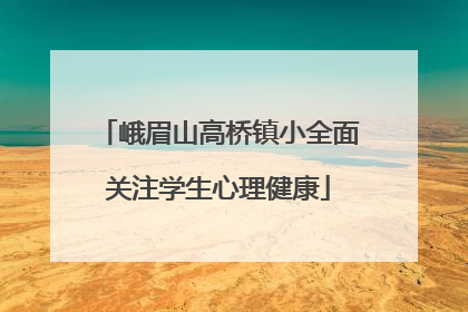 峨眉山高桥镇小全面关注学生心理健康