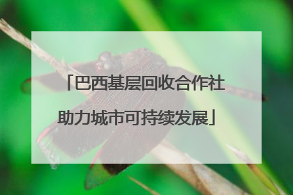 巴西基层回收合作社助力城市可持续发展