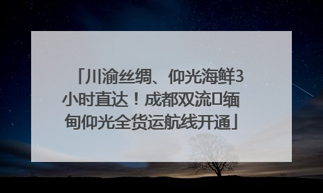 川渝丝绸、仰光海鲜3小时直达！成都双流⇌缅甸仰光全货运航线开通