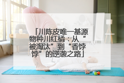 川陈皮唯一基源物种川红橘：从“被淘汰”到“香饽饽”的逆袭之路