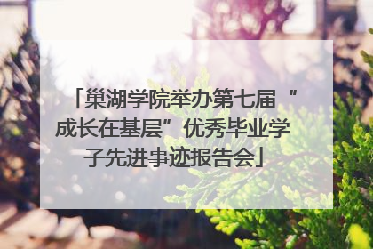 巢湖学院举办第七届“成长在基层”优秀毕业学子先进事迹报告会