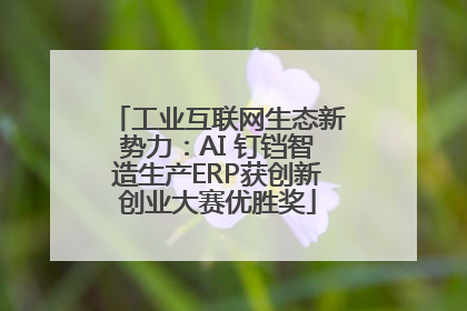 工业互联网生态新势力：AI 钉铛智造生产ERP获创新创业大赛优胜奖