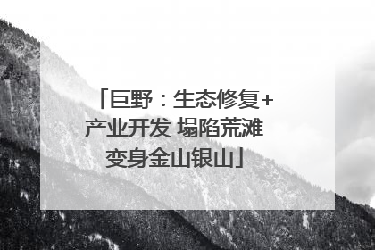 巨野：生态修复+产业开发 塌陷荒滩变身金山银山