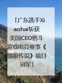 广东选手Xiaohai斩获美国CEO格斗游戏电竞赛事《饿狼传说》项目冠军
