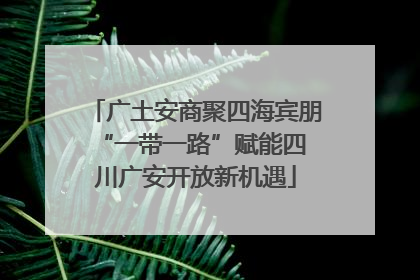 广土安商聚四海宾朋 “一带一路”赋能四川广安开放新机遇