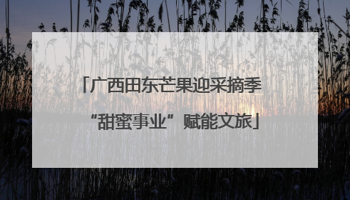 广西田东芒果迎采摘季 “甜蜜事业”赋能文旅