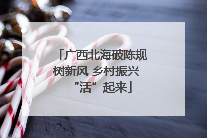 广西北海破陈规树新风 乡村振兴“活”起来