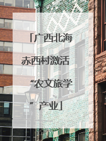 广西北海赤西村激活“农文旅学”产业