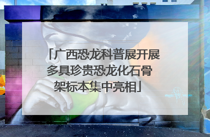 广西恐龙科普展开展 多具珍贵恐龙化石骨架标本集中亮相