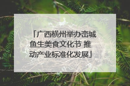 广西横州举办峦城鱼生美食文化节 推动产业标准化发展