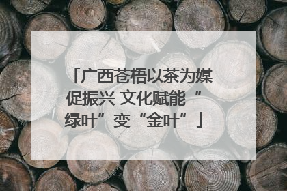 广西苍梧以茶为媒促振兴 文化赋能“绿叶”变“金叶”