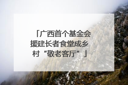 广西首个基金会援建长者食堂成乡村“敬老客厅”
