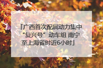 广西首次配属动力集中“复兴号”动车组 南宁至上海省时近6小时
