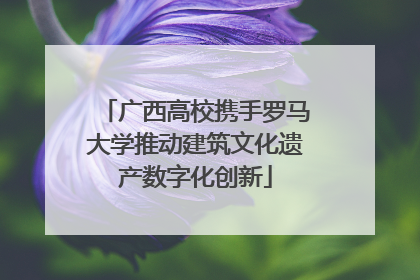 广西高校携手罗马大学推动建筑文化遗产数字化创新