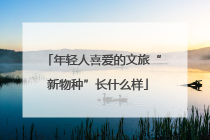 年轻人喜爱的文旅“新物种”长什么样