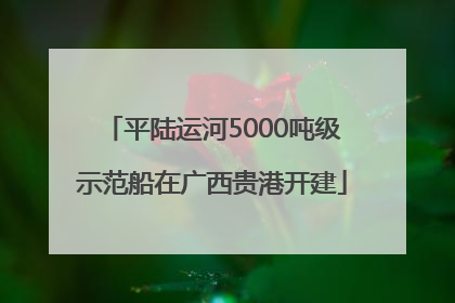 平陆运河5000吨级示范船在广西贵港开建