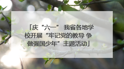 庆“六一” 我省各地学校开展“牢记党的教导 争做强国少年”主题活动