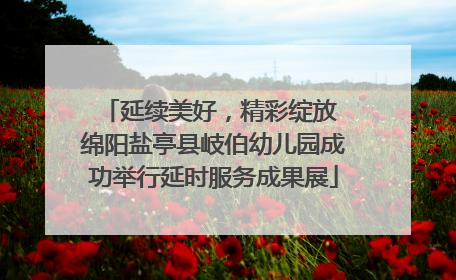 延续美好，精彩绽放 绵阳盐亭县岐伯幼儿园成功举行延时服务成果展