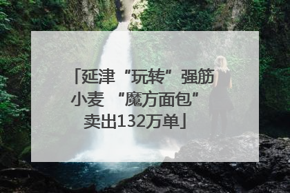 延津“玩转”强筋小麦 “魔方面包”卖出132万单