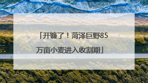 开镰了！菏泽巨野85万亩小麦进入收割期