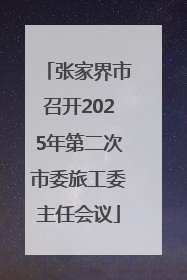 张家界市召开2025年第二次市委旅工委主任会议