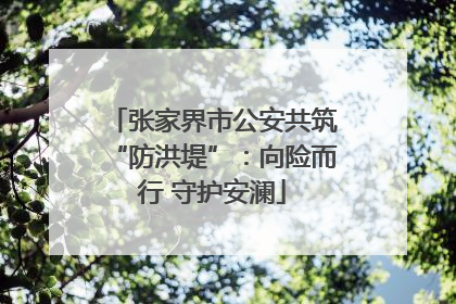 张家界市公安共筑“防洪堤”：向险而行 守护安澜