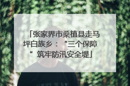 张家界市桑植县走马坪白族乡：“三个保障”筑牢防汛安全堤
