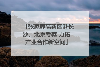 张家界高新区赴长沙、北京考察 力拓产业合作新空间